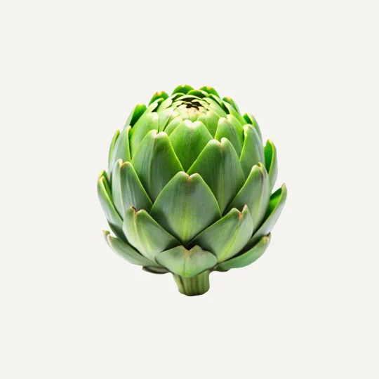 Artichoke